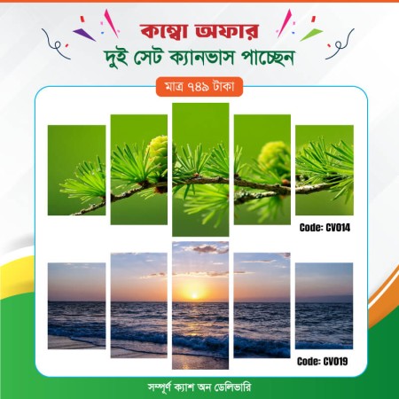 কম্বো ক্যানভাস ২ সেট Code: CV014 , CV019